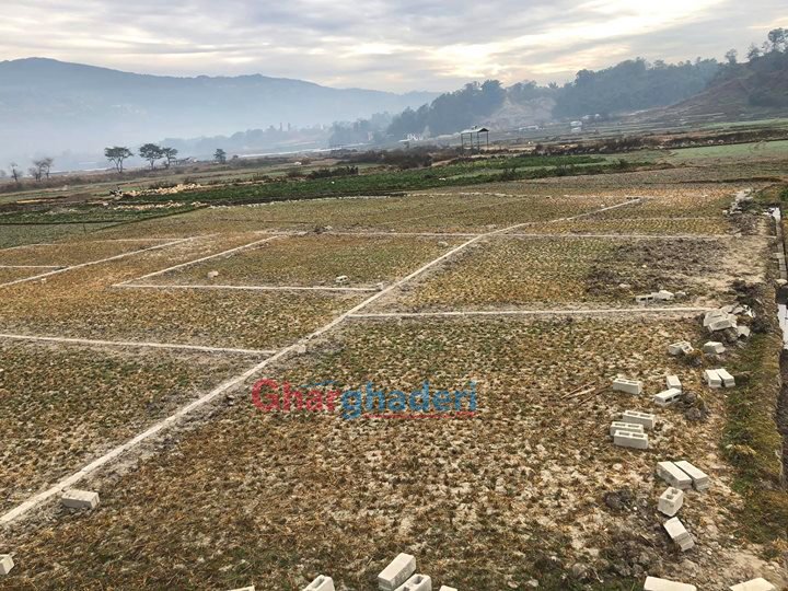 बाँझो राख्न नपाइने ! प्लटिङमा पनि गुड्यो ट्रयाक्टर